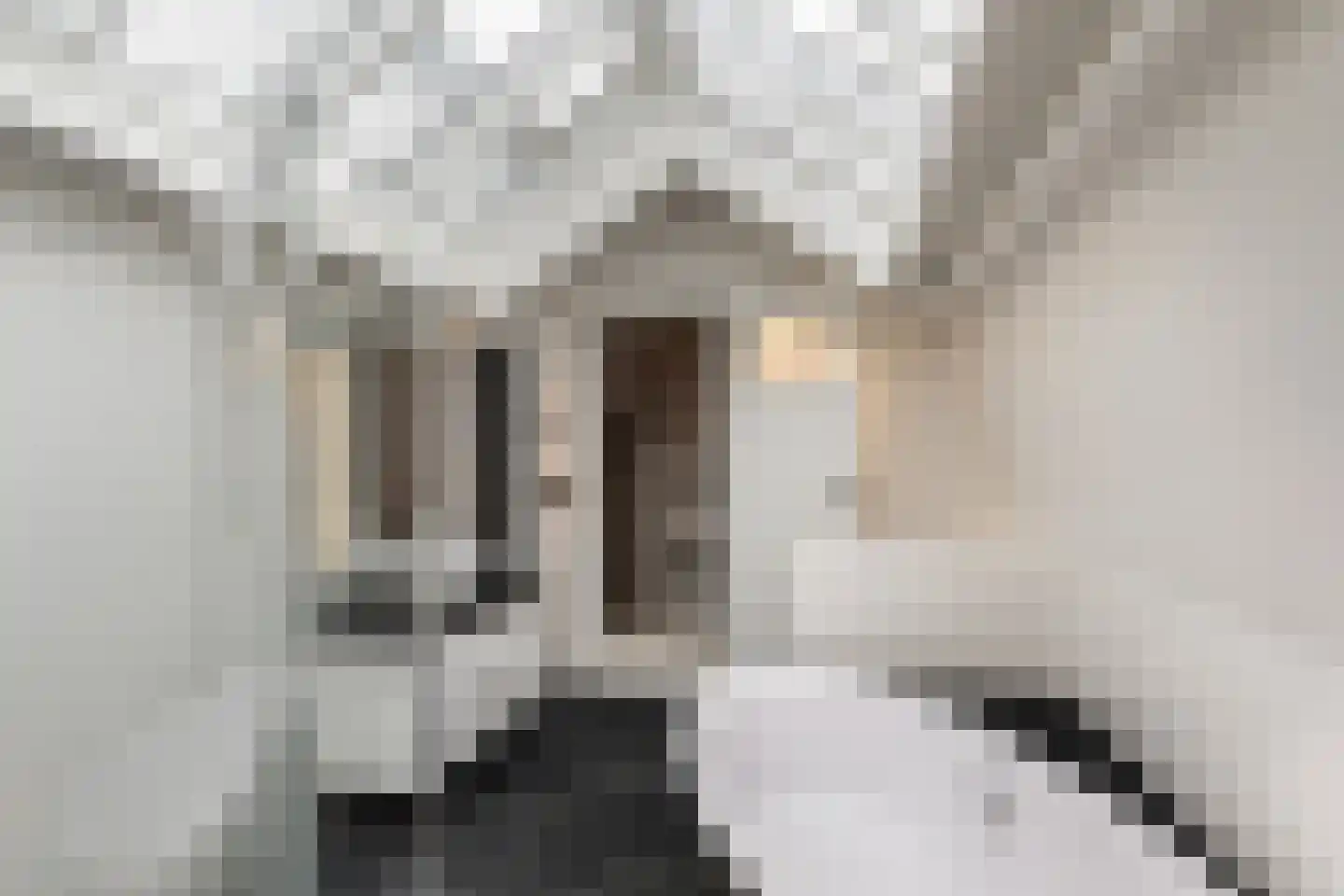 Hoogstraat 52 Tholen thumbnail 32