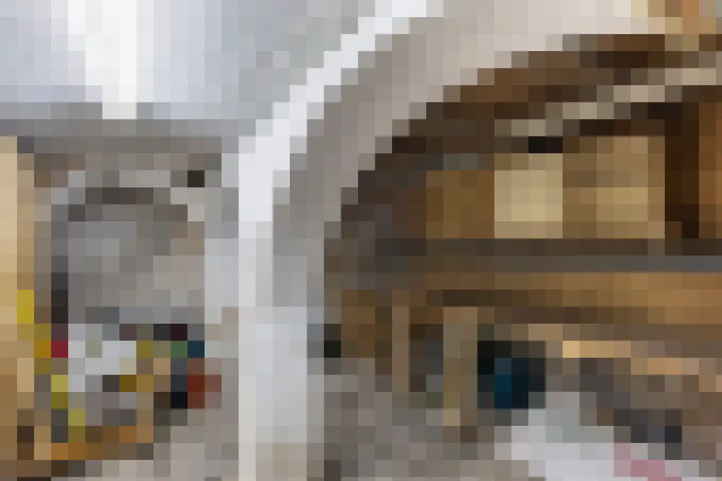 Hoogstraat 52 Tholen thumbnail 34