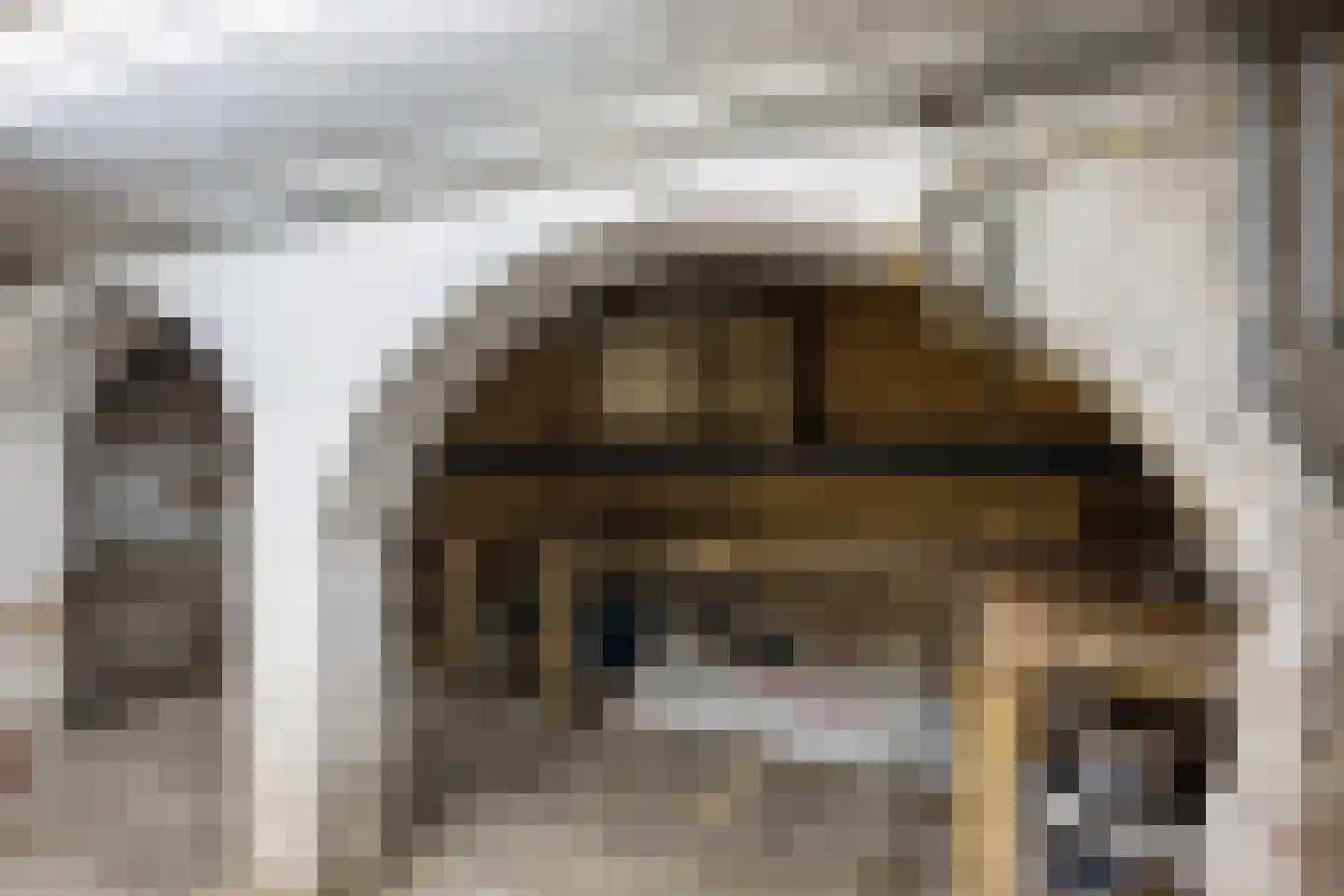 Hoogstraat 52 Tholen thumbnail 35
