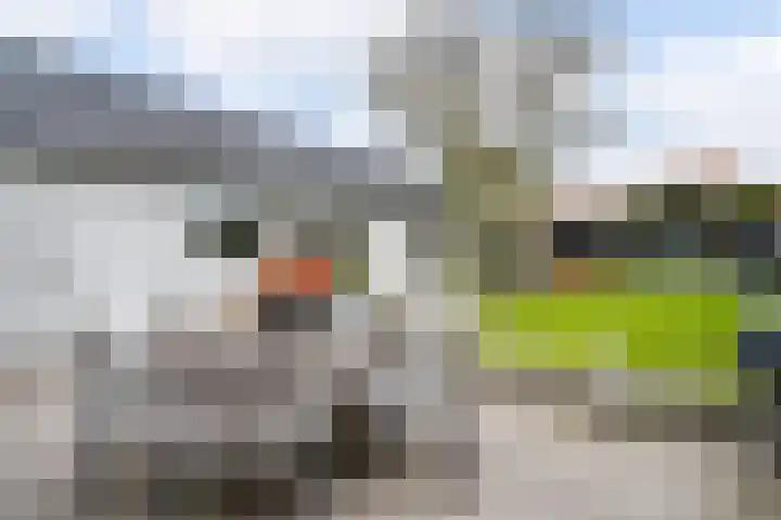 Hoogstraat 52 Veldhoven thumbnail 20