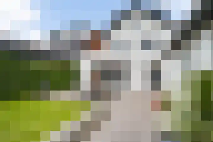 Hoogstraat 52 Veldhoven thumbnail 22