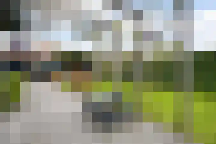 Hoogstraat 52 Veldhoven thumbnail 5