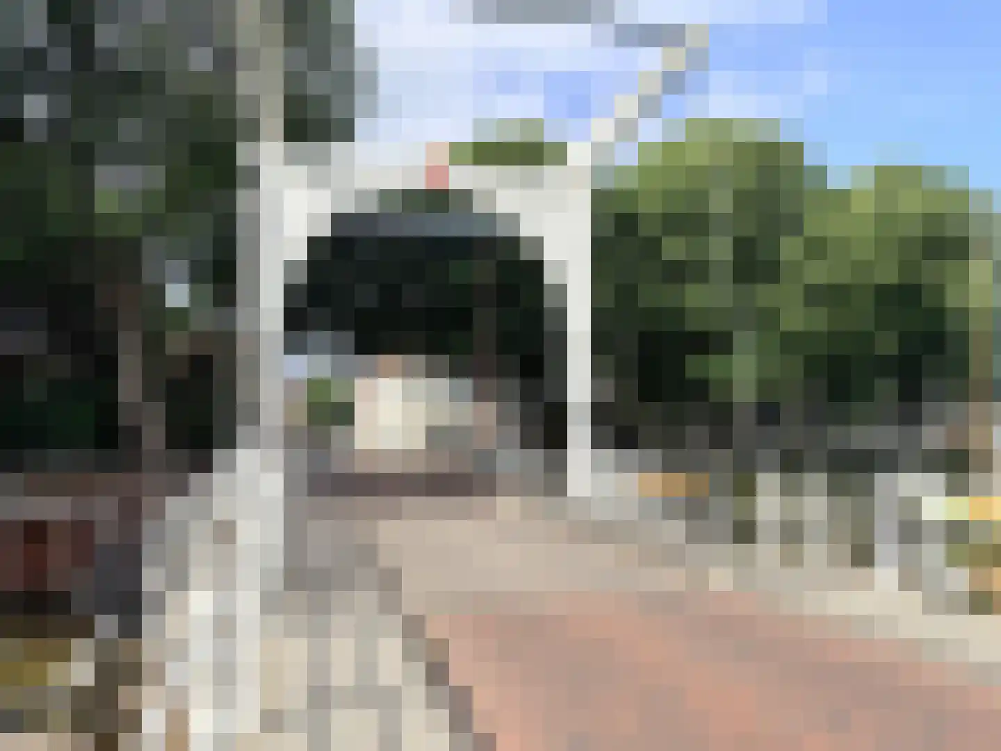 Hoogstraat 53 Harlingen thumbnail 10