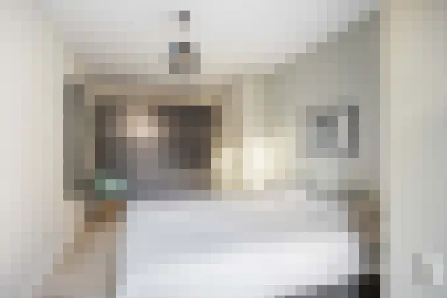 Hoogstraat 53 Harlingen thumbnail 37