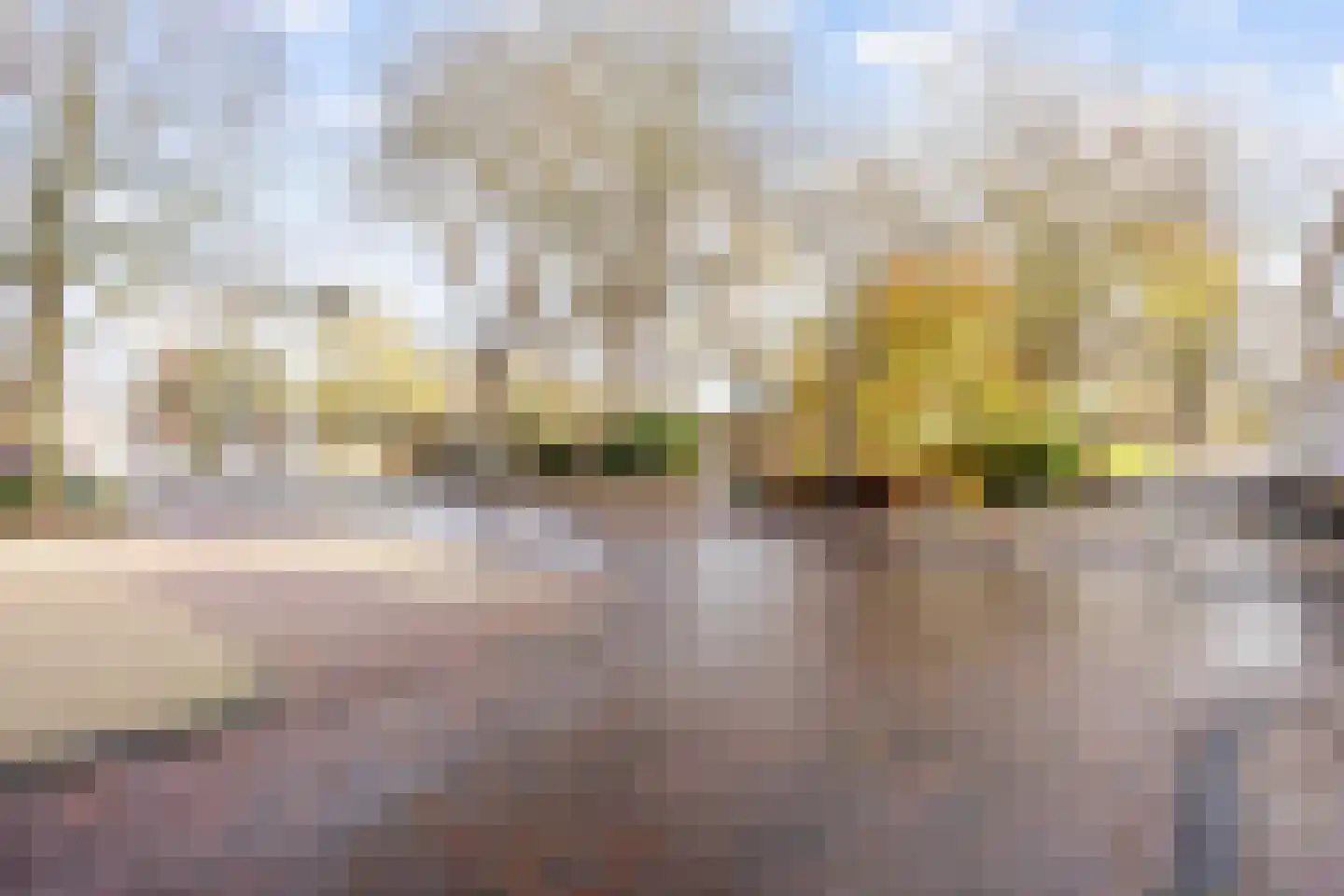 Hoogstraat 53 Harlingen thumbnail 60