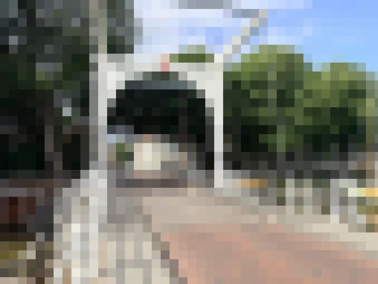 Hoogstraat 53 Harlingen thumbnail 62