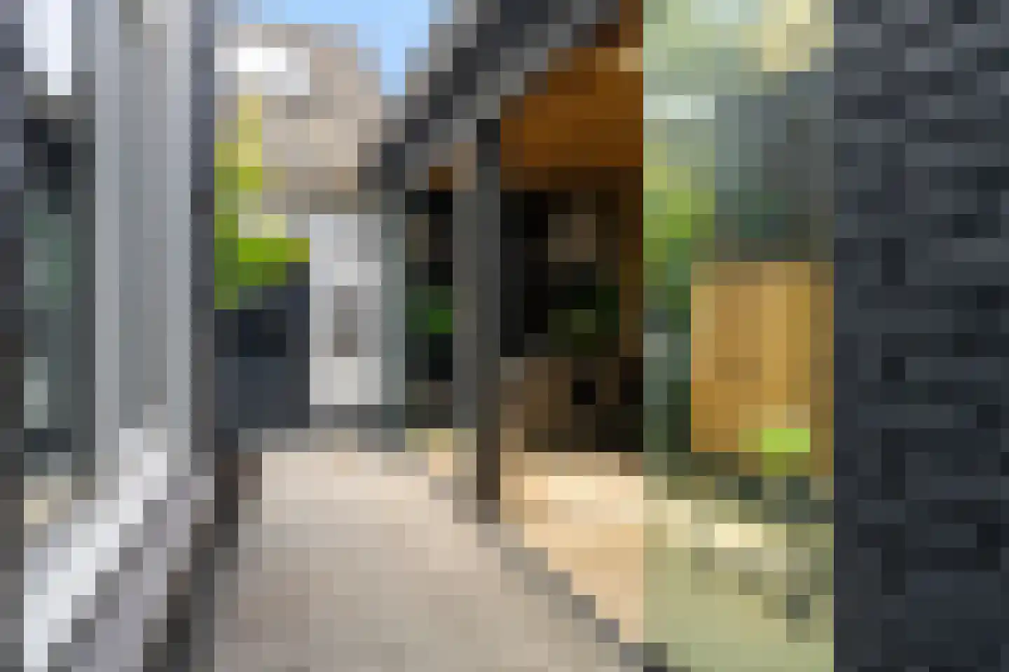 Hoogstraat 53 Sint-Michielsgestel thumbnail 39