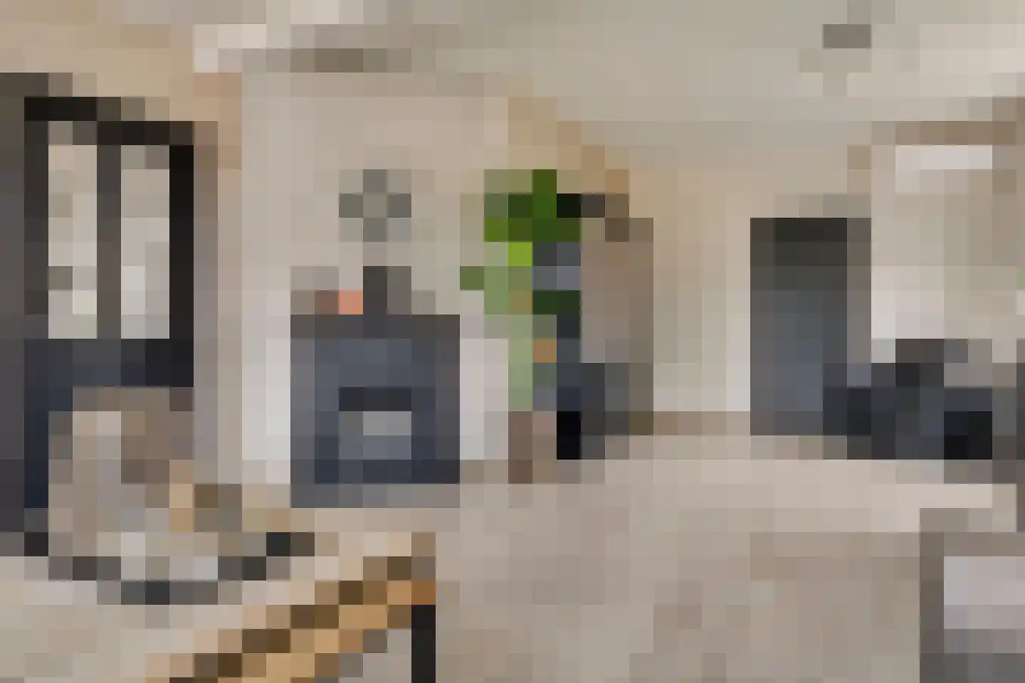 Hoogstraat 53 Sint-Michielsgestel thumbnail 8