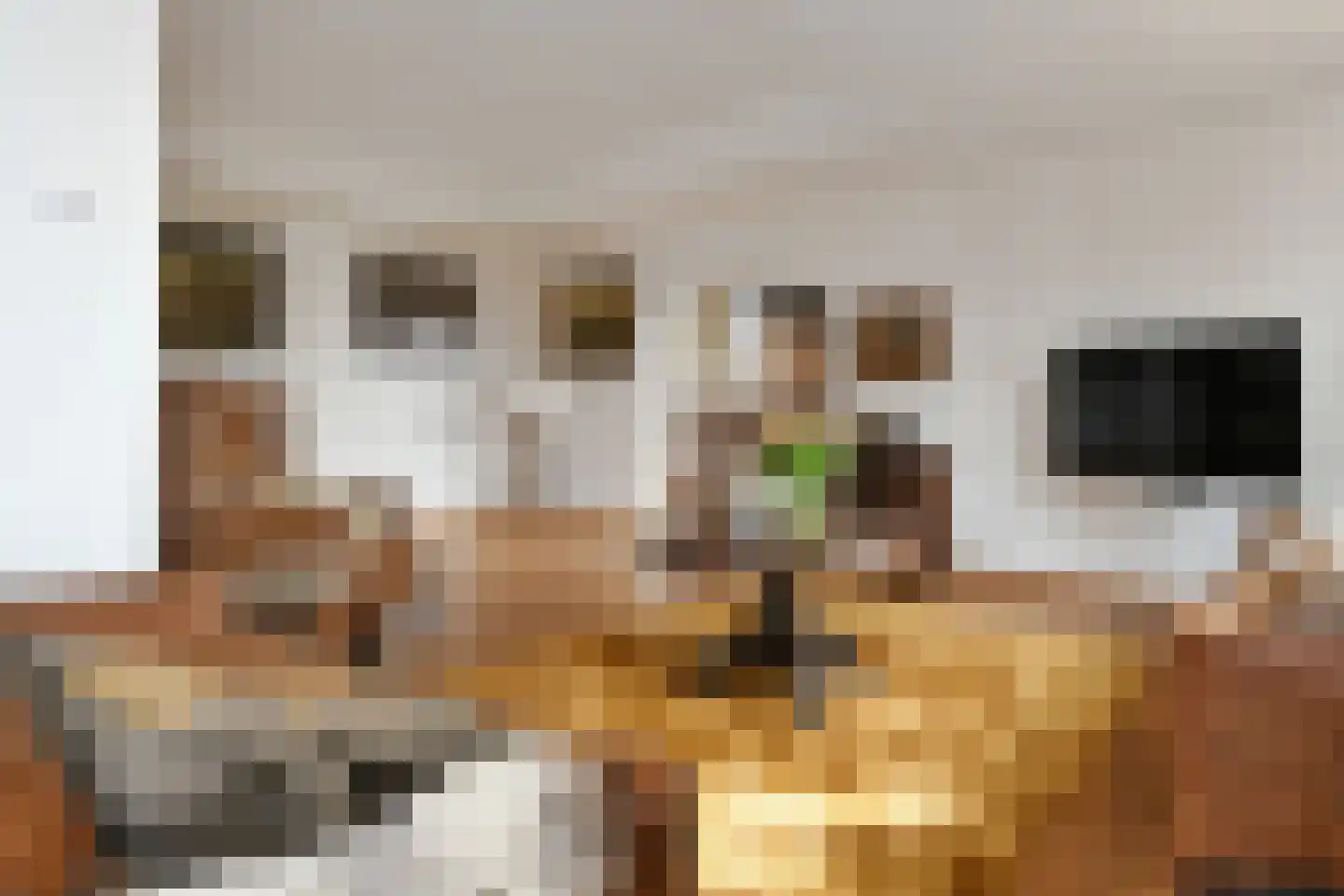 Hoogstraat 55 Ell thumbnail 18