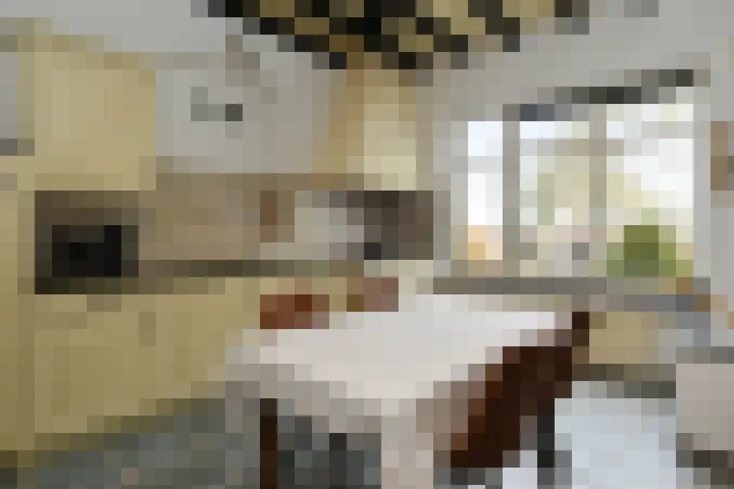 Hoogstraat 55 Ell thumbnail 20