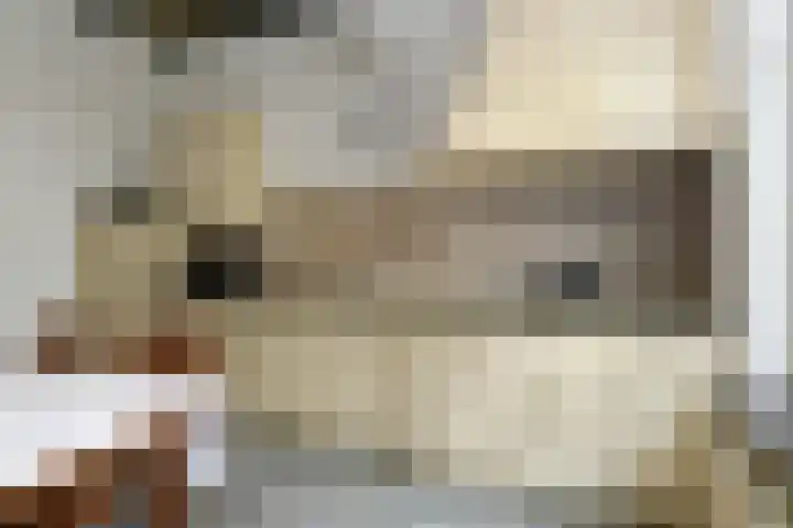 Hoogstraat 55 Ell thumbnail 22