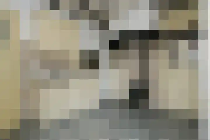 Hoogstraat 55 Ell thumbnail 24