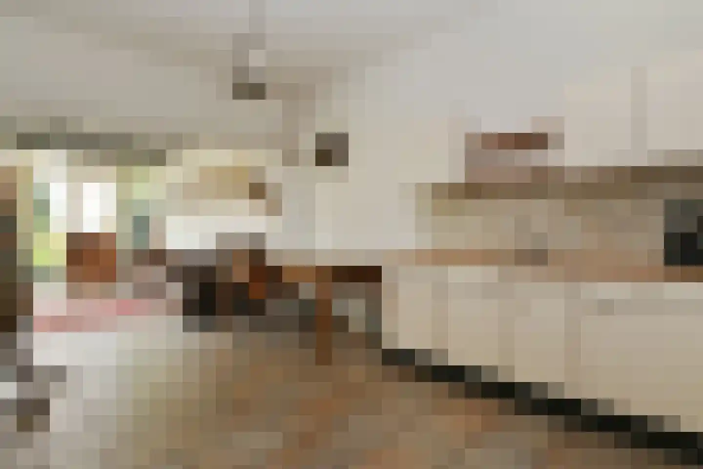 Hoogstraat 55 Ell thumbnail 28