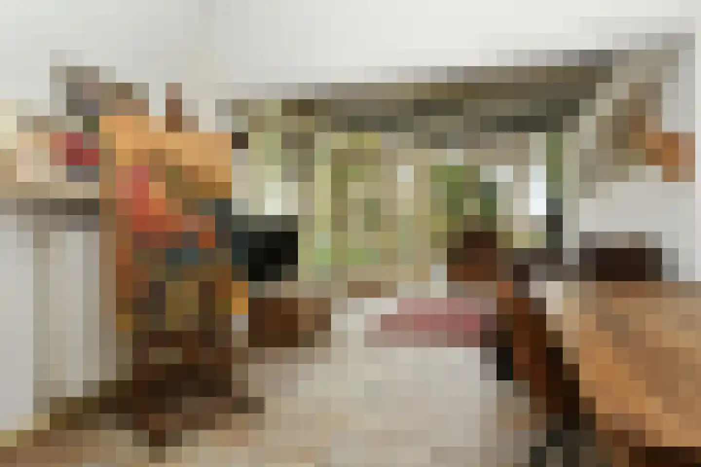 Hoogstraat 55 Ell thumbnail 29
