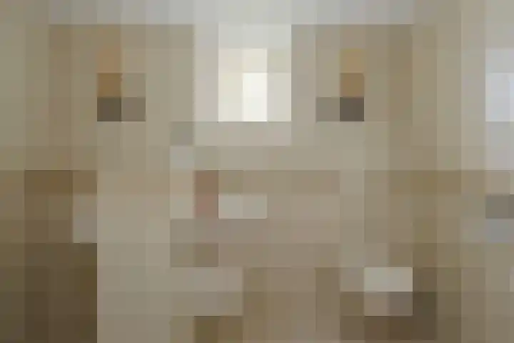 Hoogstraat 55 Ell thumbnail 37