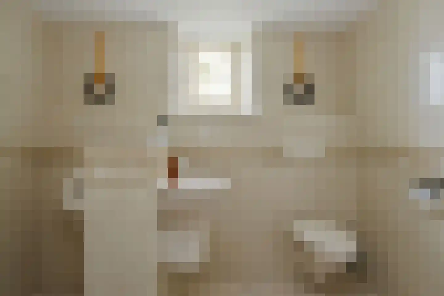 Hoogstraat 55 Ell thumbnail 37