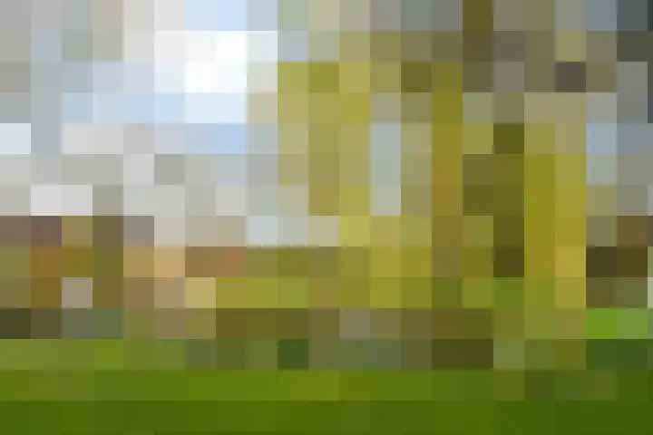 Hoogstraat 55 Ell thumbnail 42