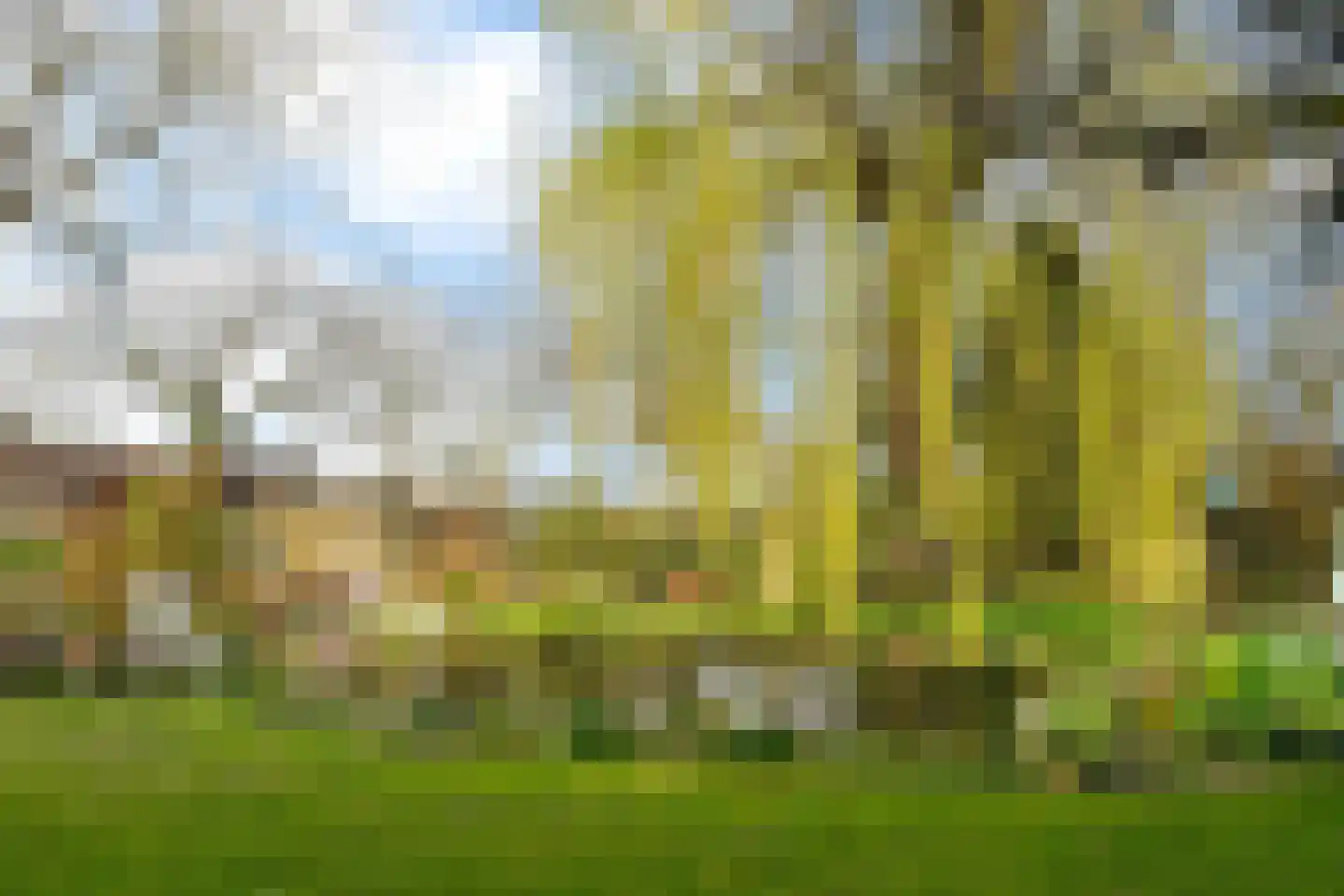 Hoogstraat 55 Ell thumbnail 42