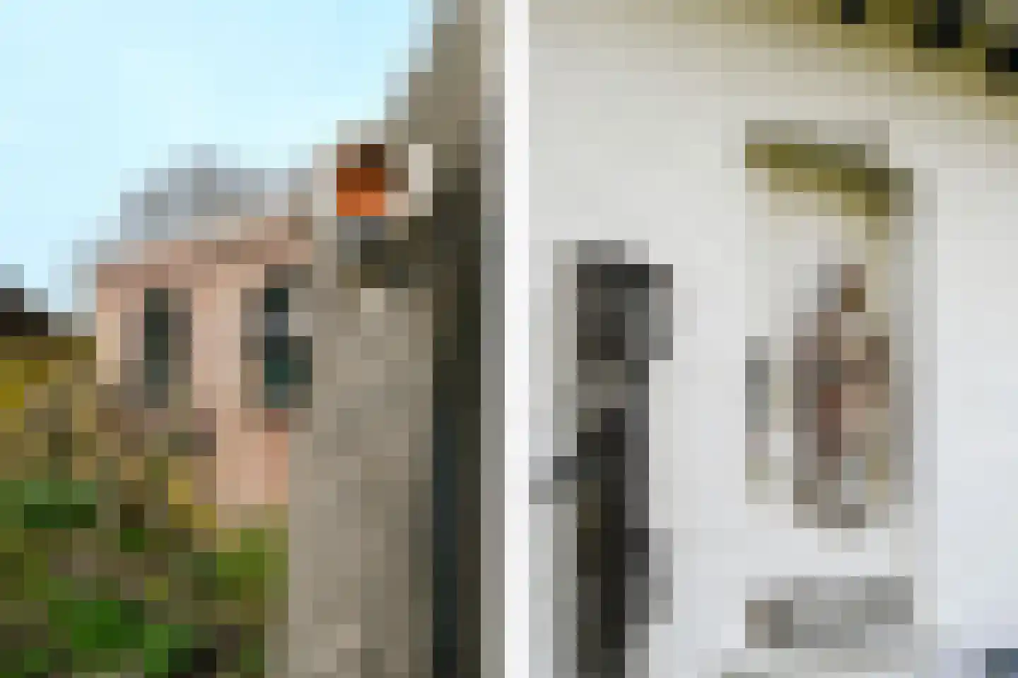 Hoogstraat 55 Ell thumbnail 44