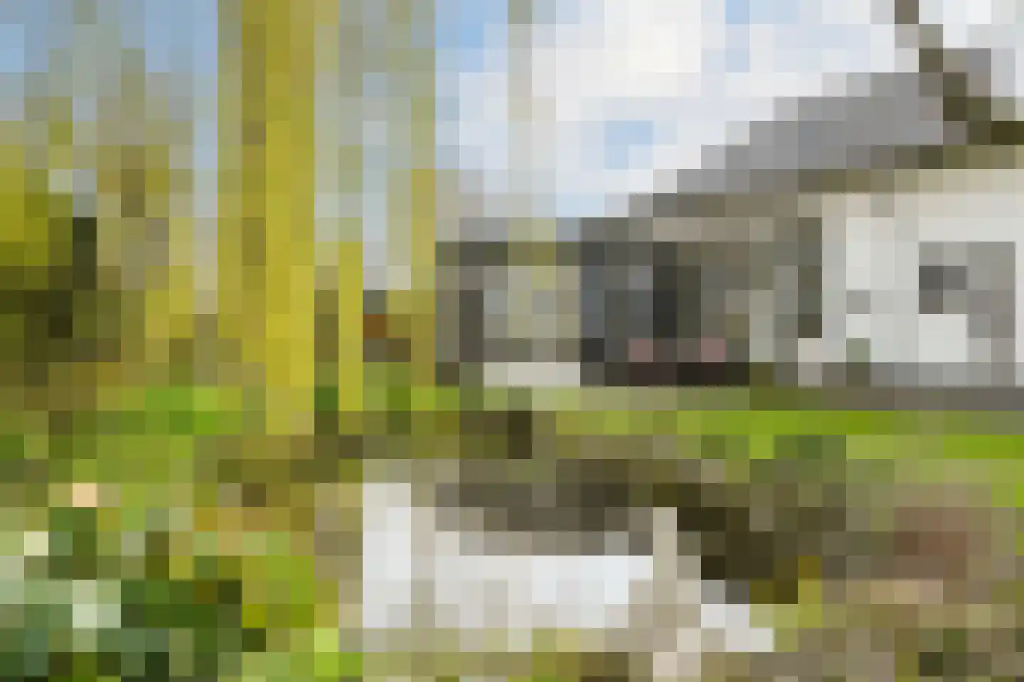 Hoogstraat 55 Ell thumbnail 45