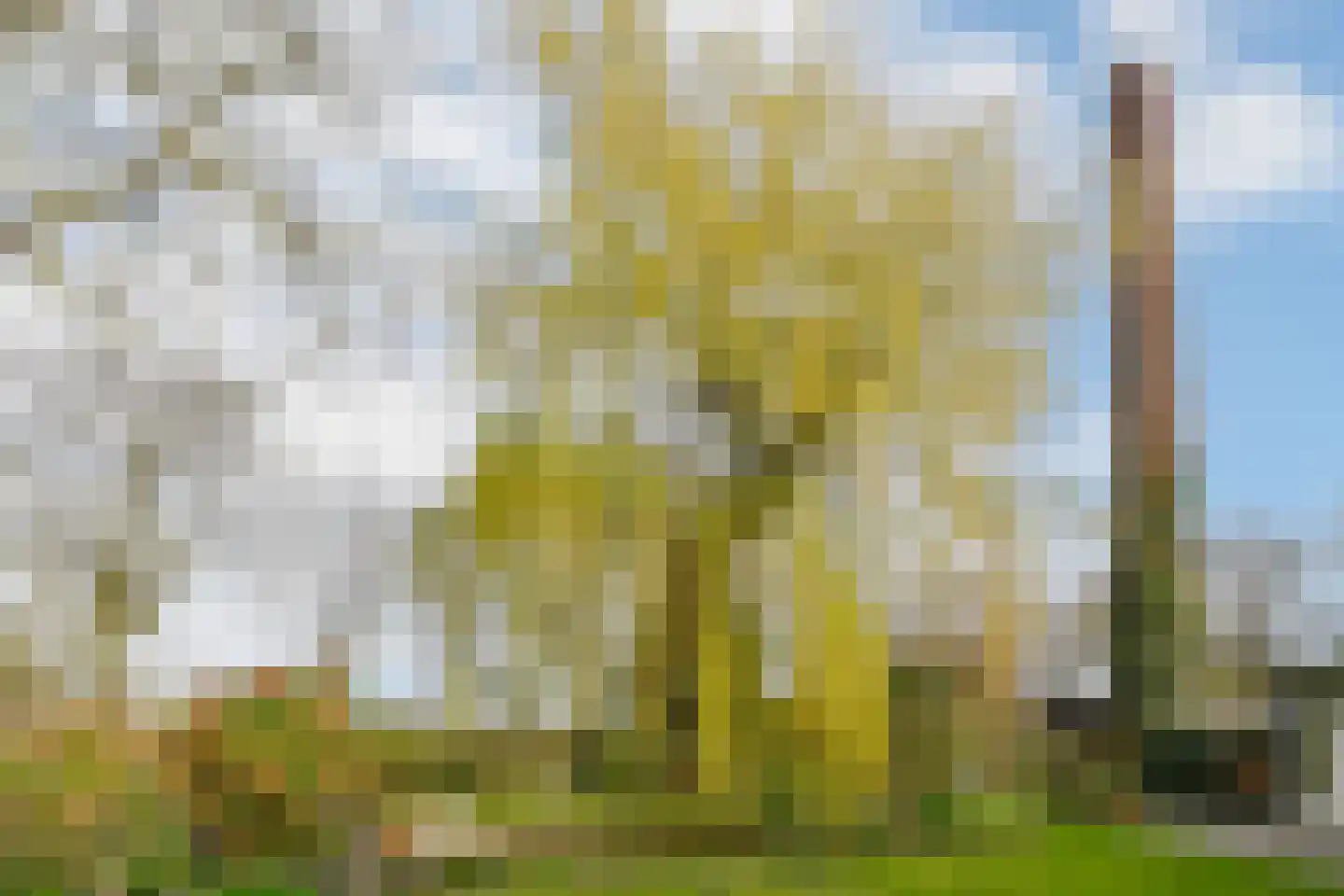 Hoogstraat 55 Ell thumbnail 49