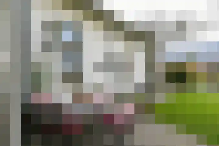 Hoogstraat 55 Ell thumbnail 51