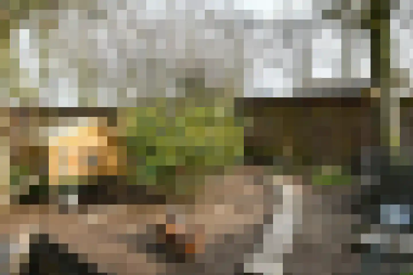 Hoogstraat 55 Ell thumbnail 52