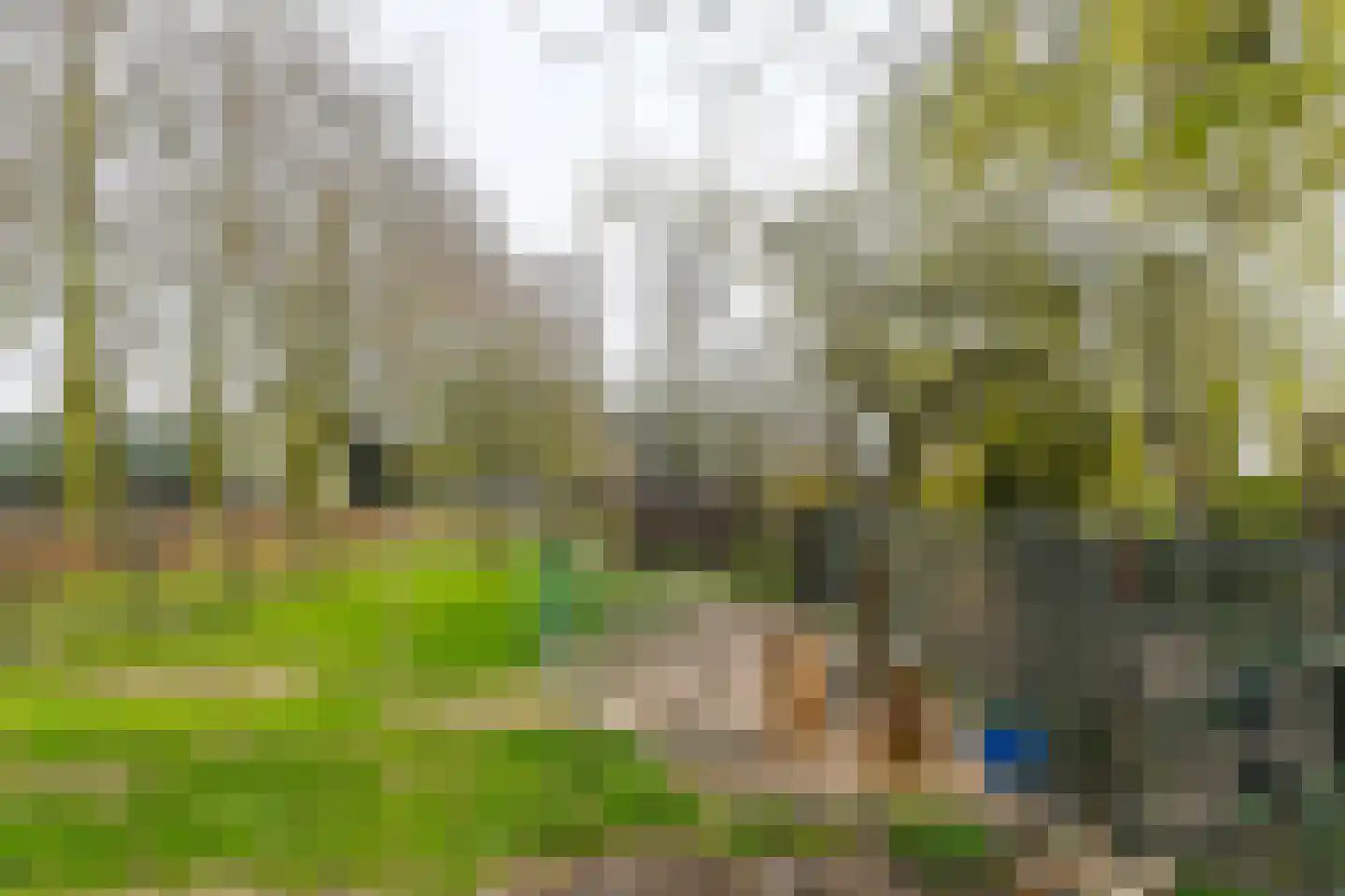 Hoogstraat 55 Ell thumbnail 54