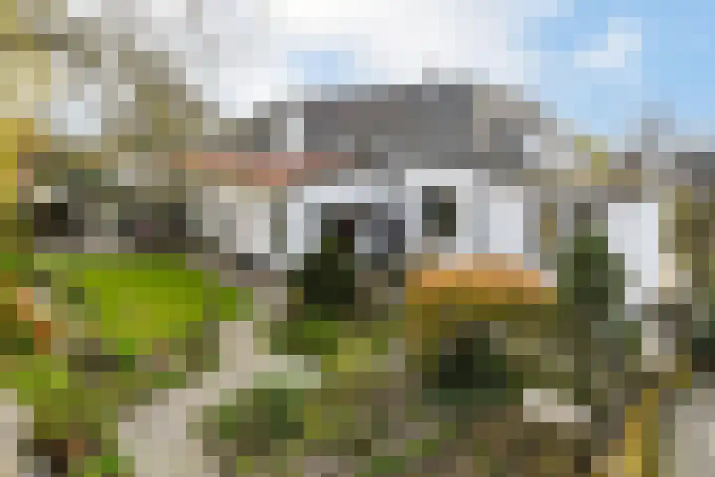 Hoogstraat 55 Ell thumbnail 55