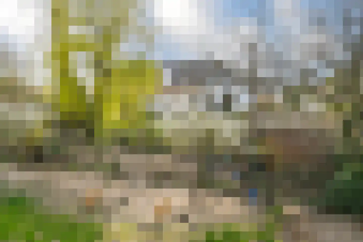 Hoogstraat 55 Ell thumbnail 56