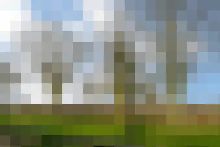 Hoogstraat 55 Ell thumbnail 56