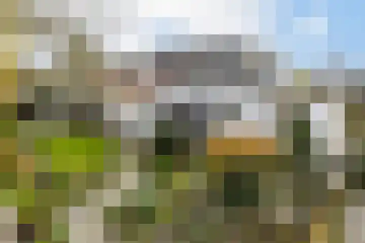 Hoogstraat 55 Ell thumbnail 58