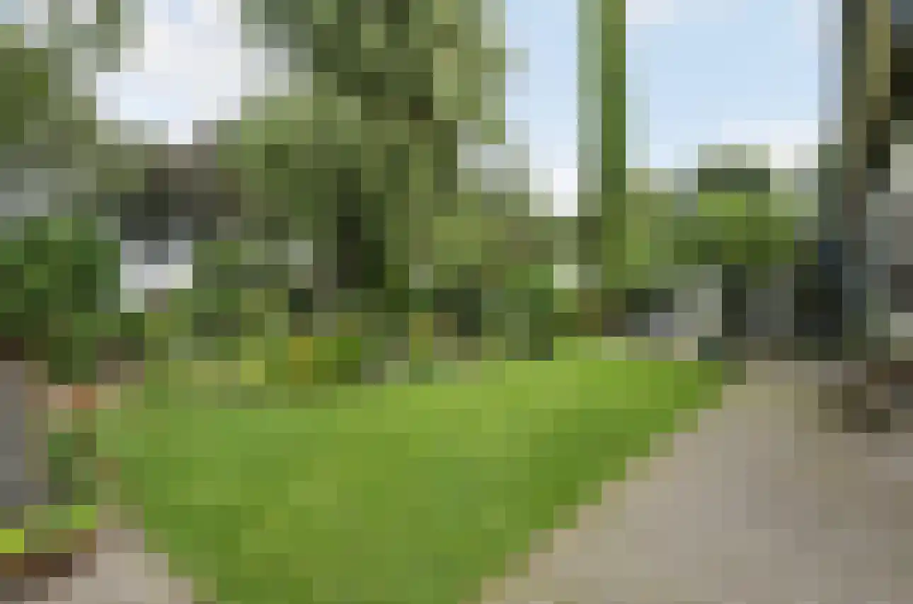 Hoogstraat 55 Ell thumbnail 59