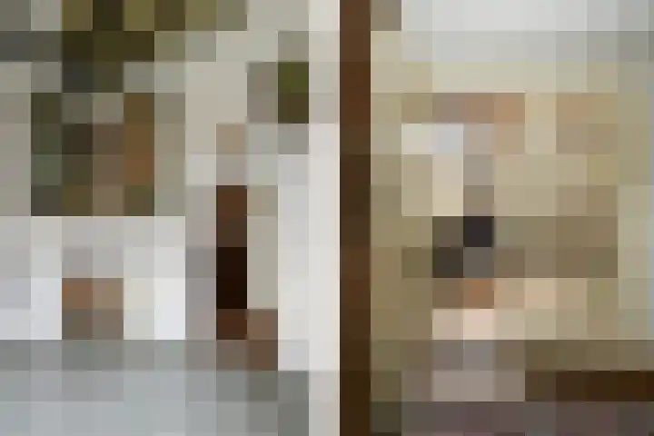 Hoogstraat 55 Ell thumbnail 6