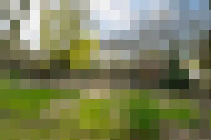 Hoogstraat 55 Ell thumbnail 60