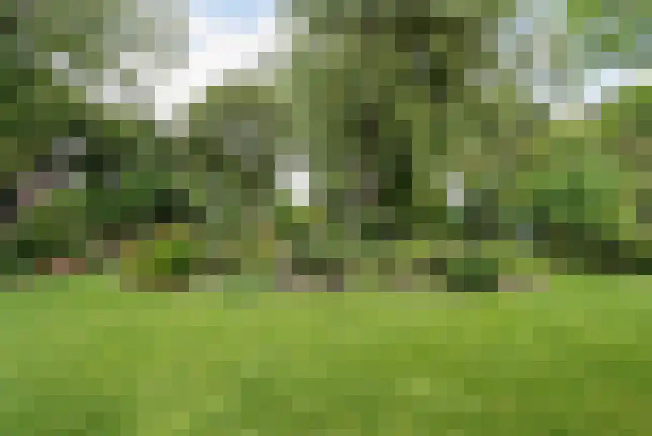 Hoogstraat 55 Ell thumbnail 60