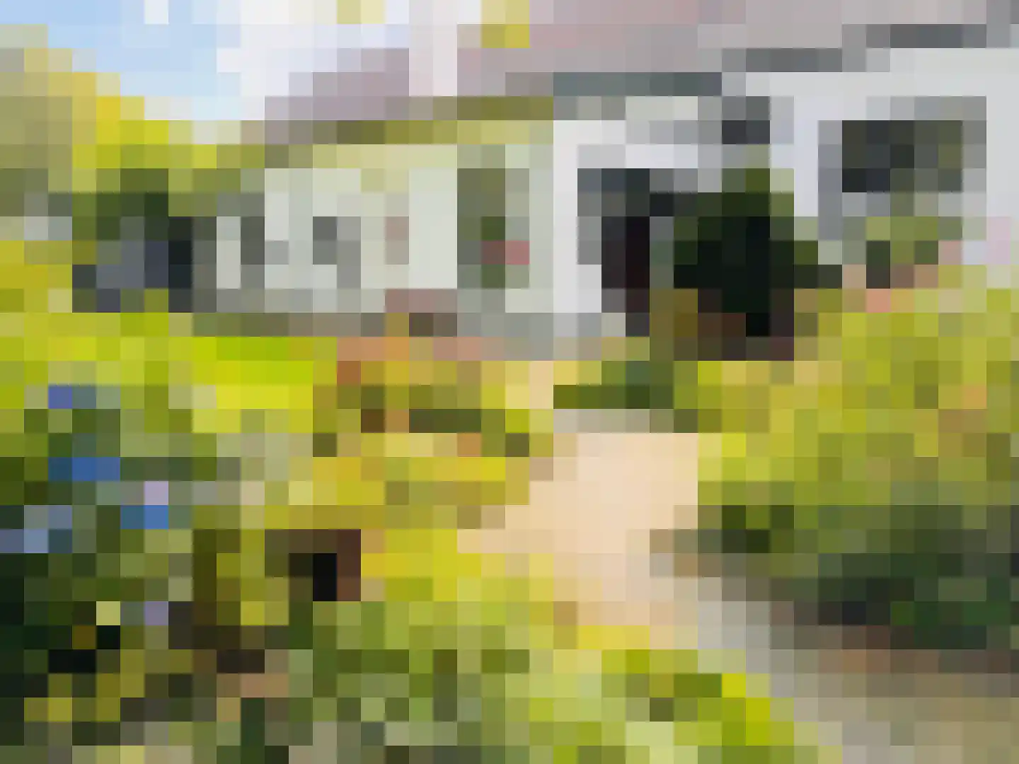 Hoogstraat 55 Ell thumbnail 65