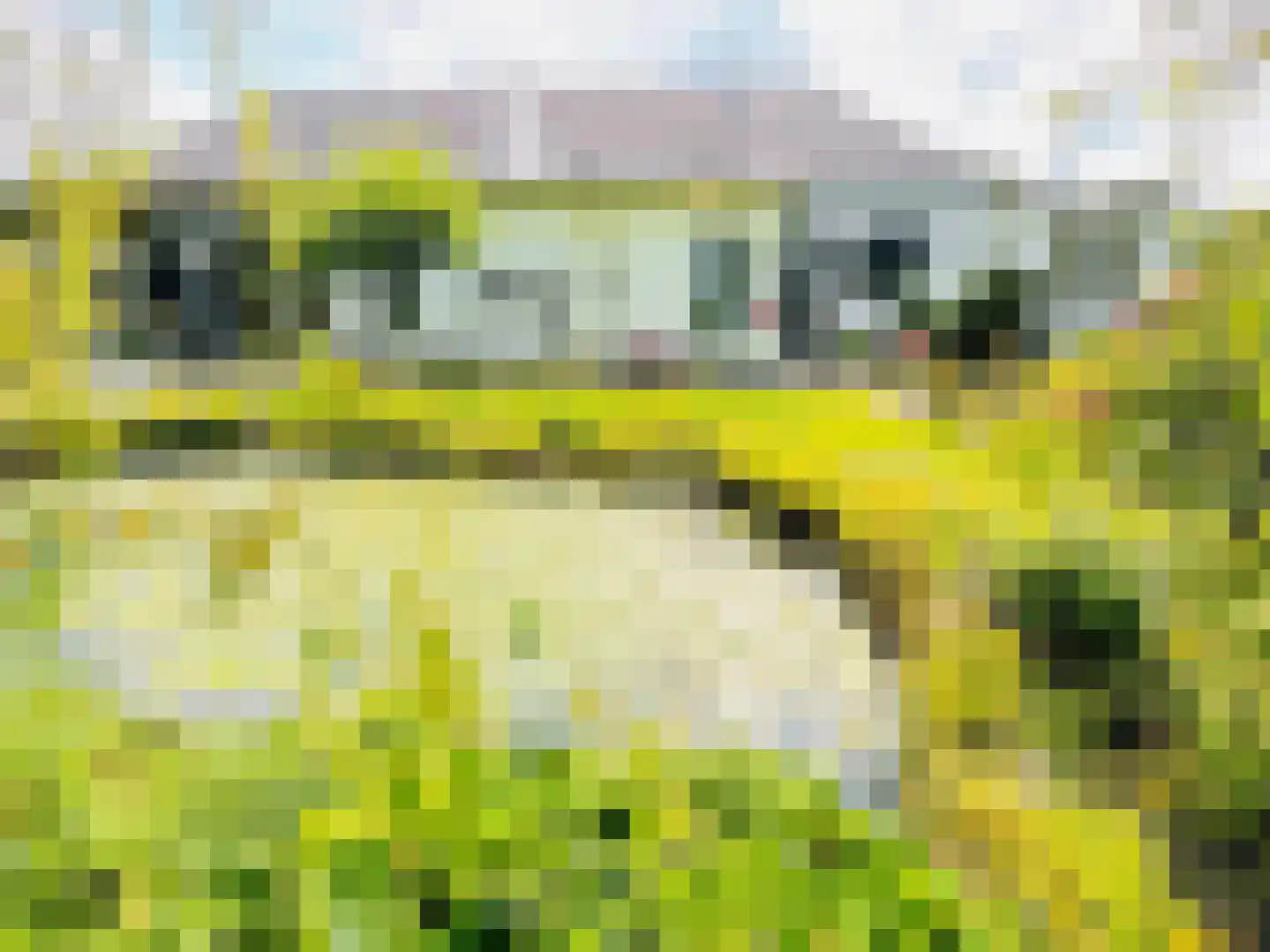 Hoogstraat 55 Ell thumbnail 66