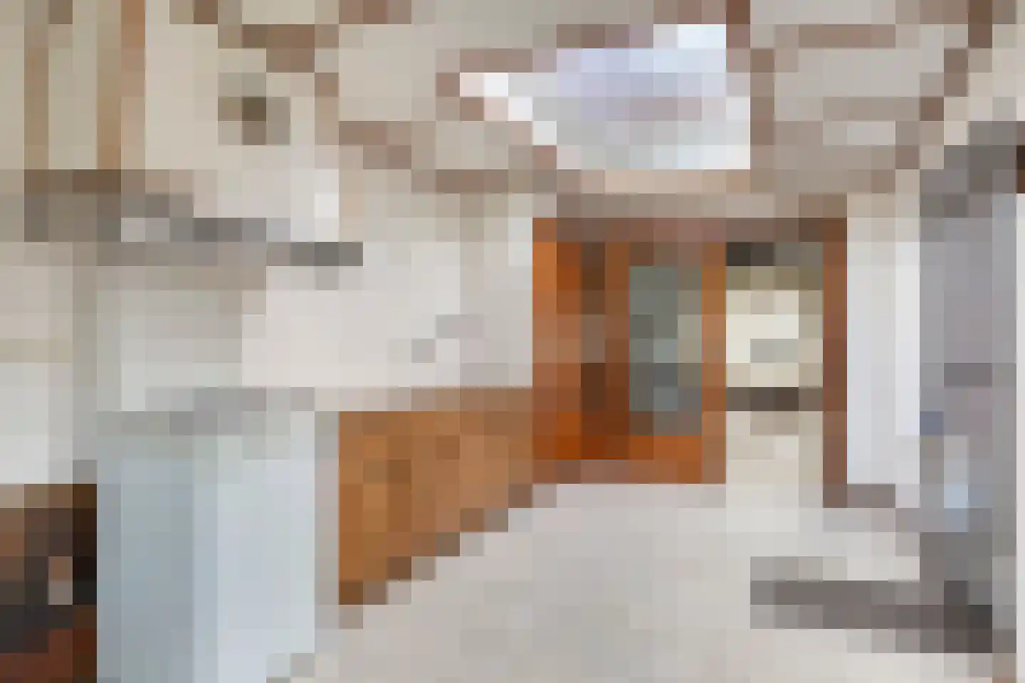 Hoogstraat 57 Goirle thumbnail 16