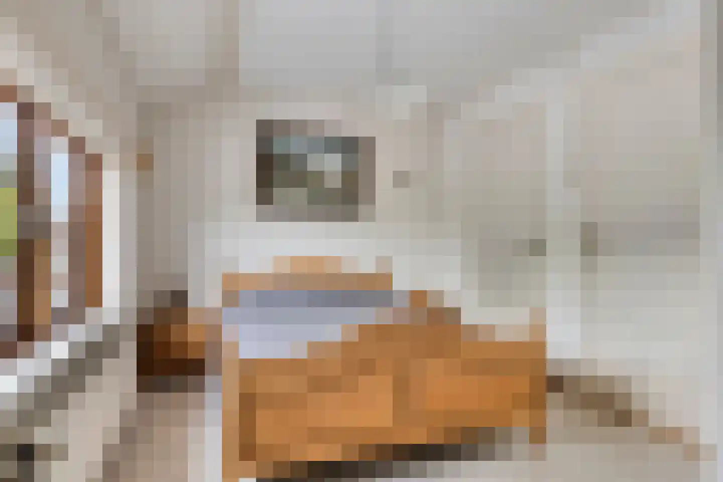 Hoogstraat 57 Goirle thumbnail 20