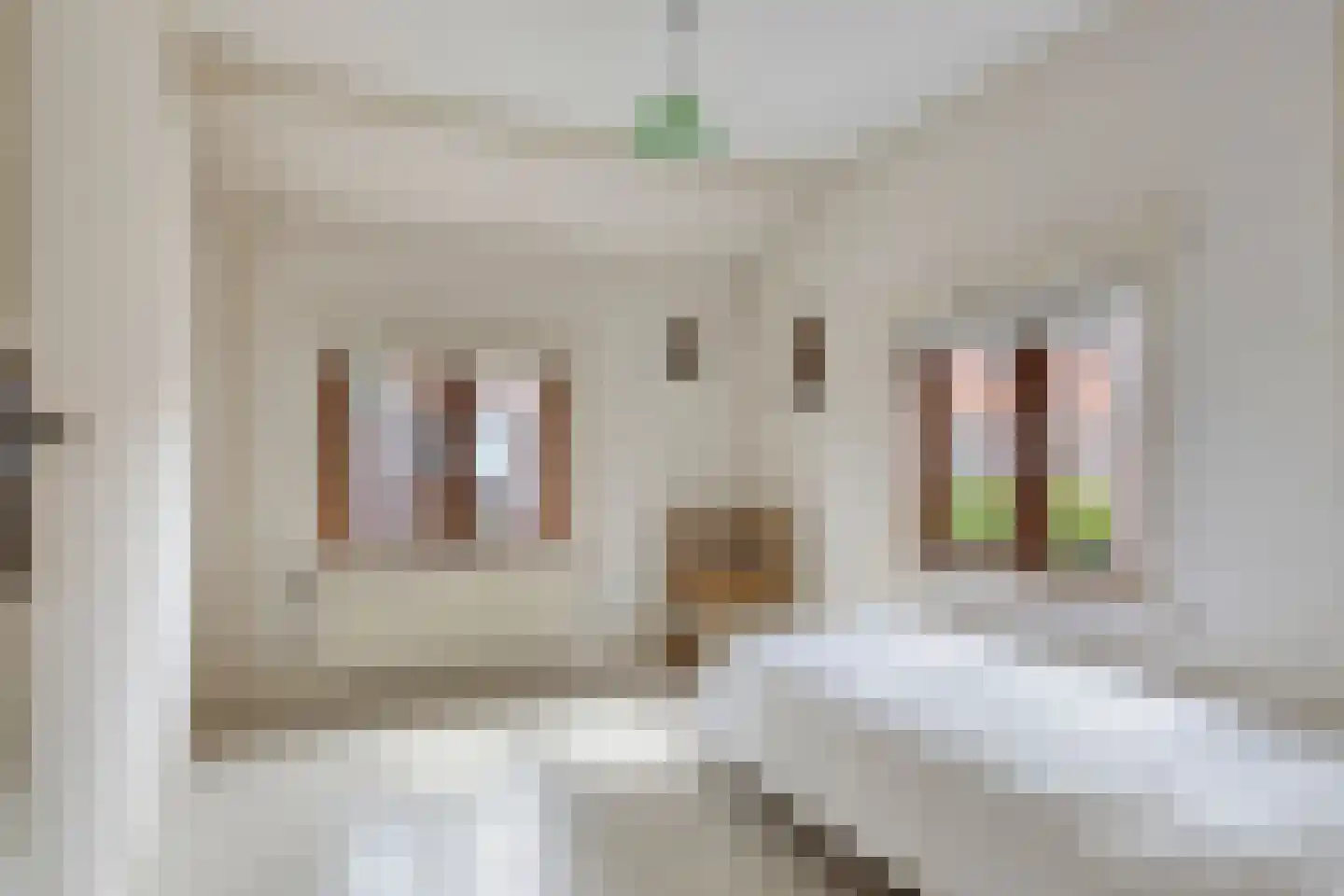 Hoogstraat 57 Goirle thumbnail 24