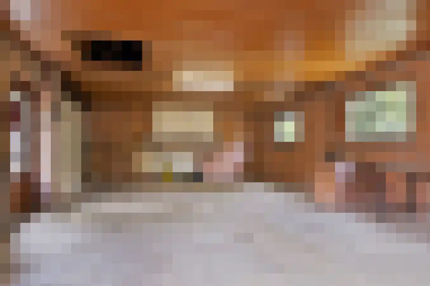 Hoogstraat 57 Goirle thumbnail 30