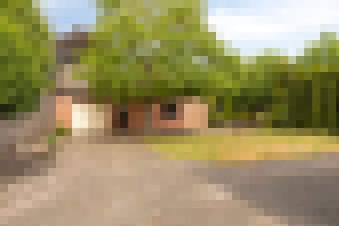 Hoogstraat 57 Goirle thumbnail 31