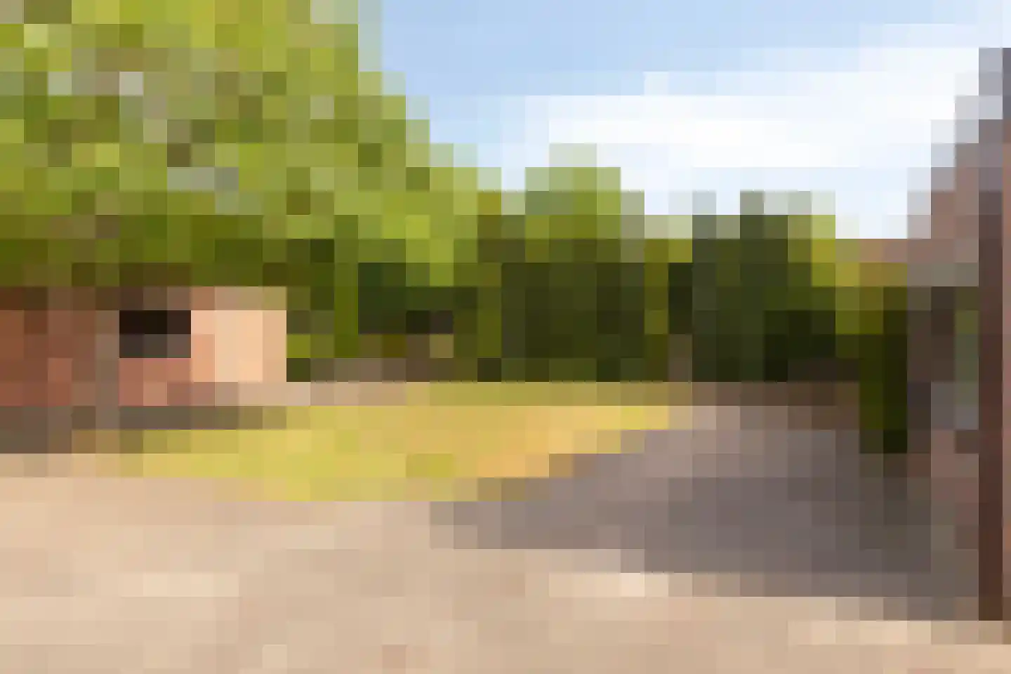 Hoogstraat 57 Goirle thumbnail 32