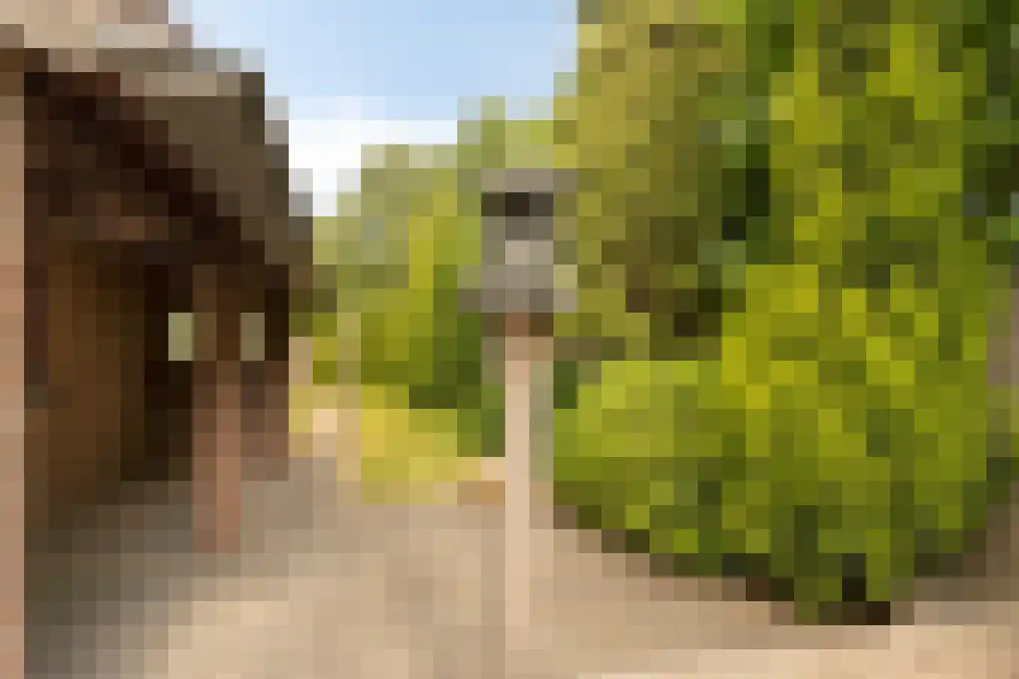 Hoogstraat 57 Goirle thumbnail 33