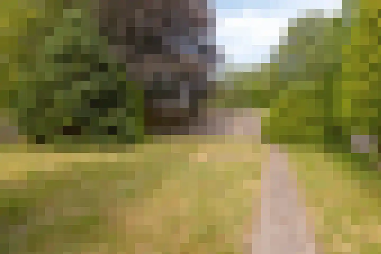 Hoogstraat 57 Goirle thumbnail 34