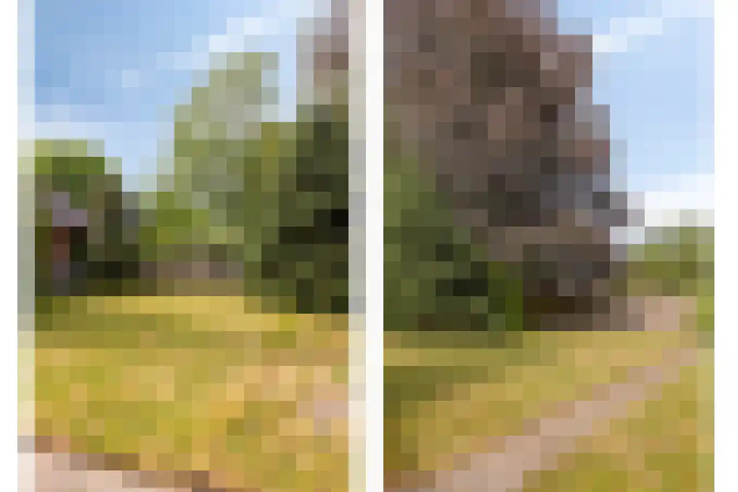 Hoogstraat 57 Goirle thumbnail 36