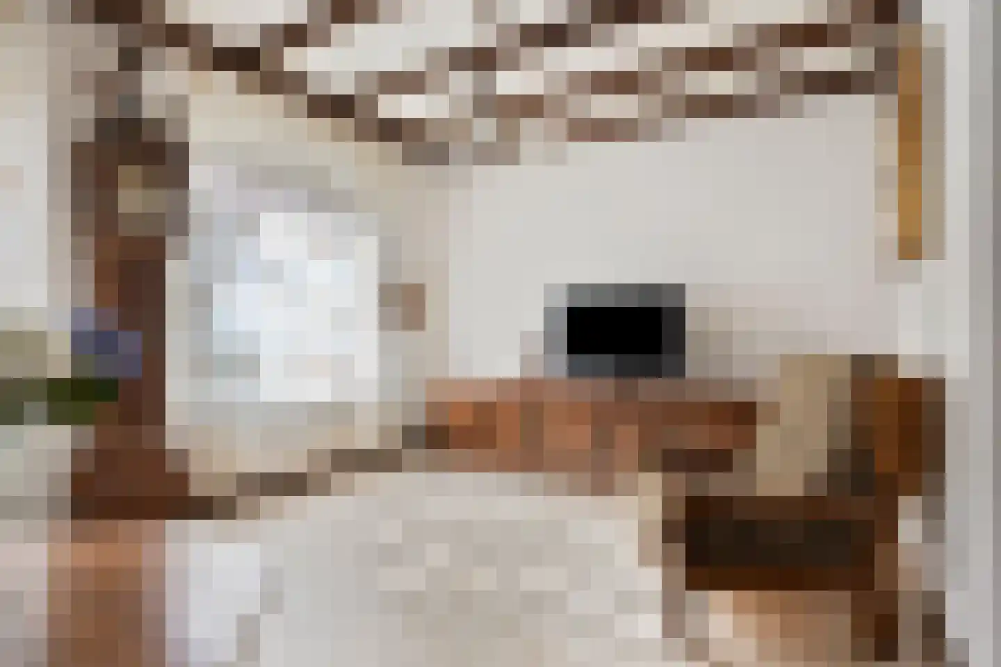 Hoogstraat 57 Goirle thumbnail 6