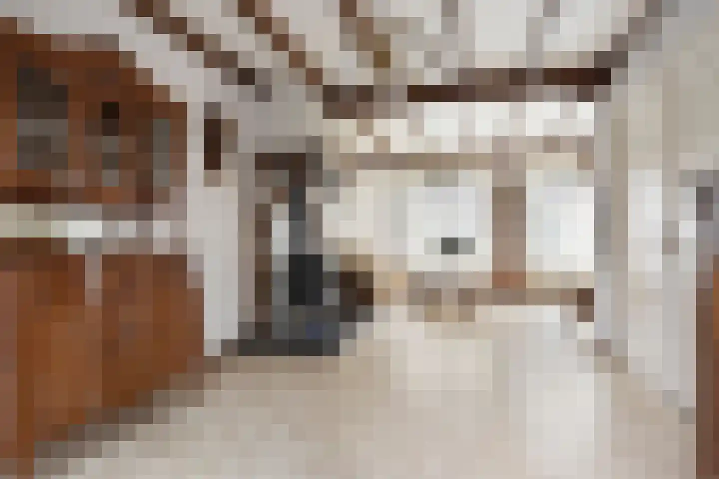 Hoogstraat 57 Goirle thumbnail 9