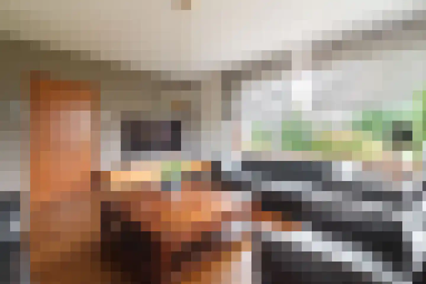 Hoogstraat 58 Echt thumbnail 15